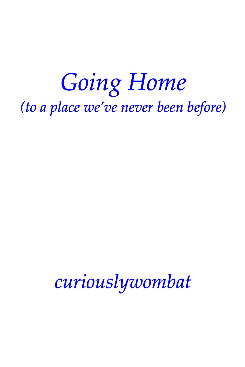 Going Home ePub