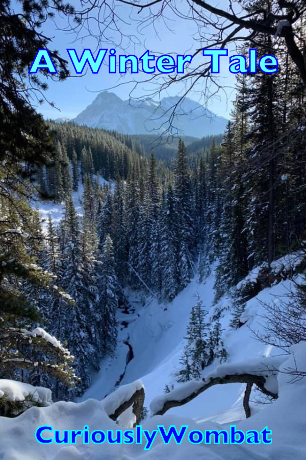 A Winter Tale ePub