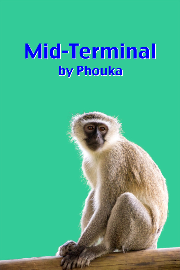 Midterminal ePub