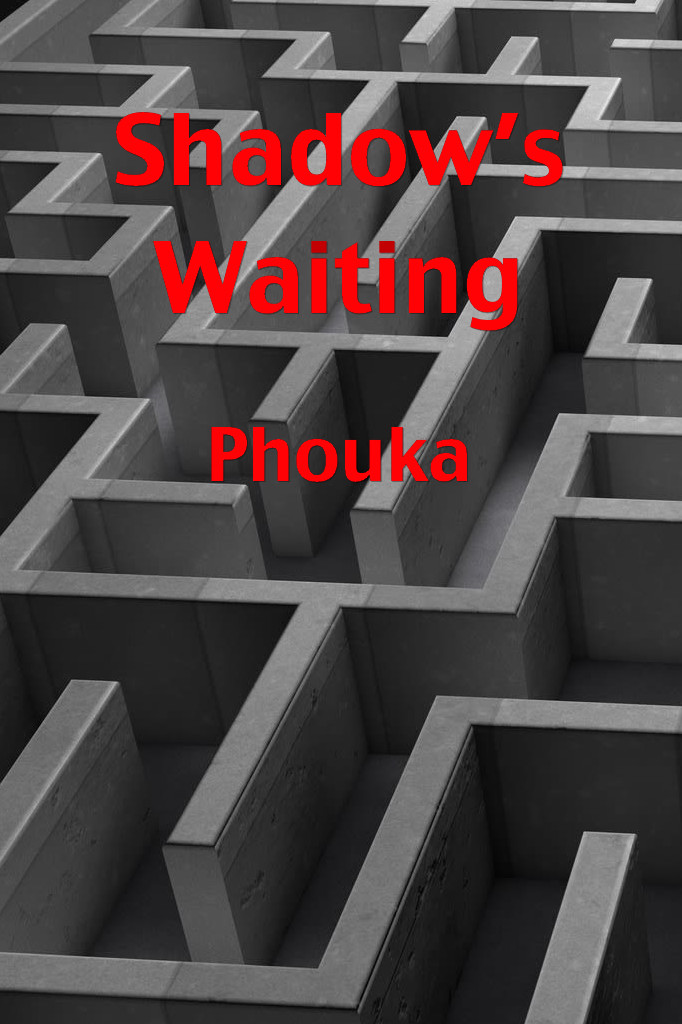 Shadow&rsquo;s Waiting ePub