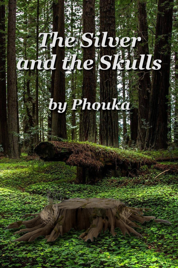 The Silver and the Skulls ePub