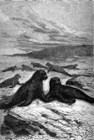 146.jpg